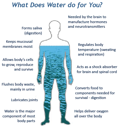 Water Benefits