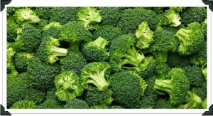 fresh Broccoli