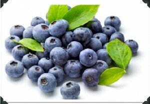 fresh Blueberries