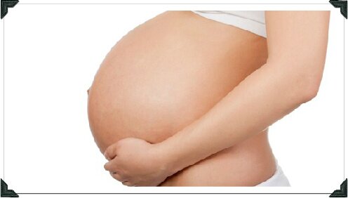 Best Prenatal Vitamins Brands