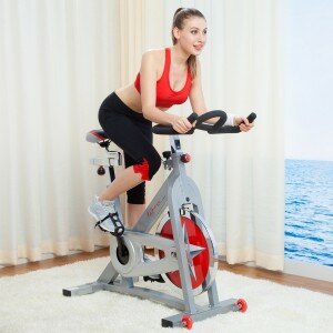 SF-B901 pro indoor cycling bike