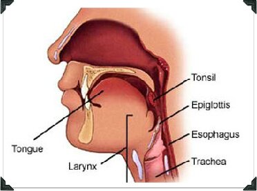 Laryngitis Home Remedies