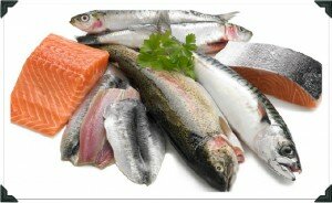 types of Oily Fish